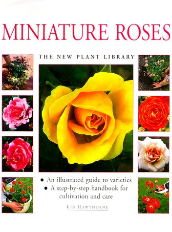 Stock image for Miniature Roses: An Illustrated Guide to Varieties & a Step-by-Step Handbook for Cultivation & Care for sale by Half Price Books Inc.