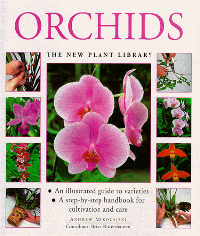 Imagen de archivo de Orchids a la venta por Better World Books