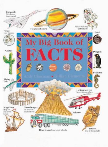 Beispielbild fr My Big Book of Facts zum Verkauf von WorldofBooks