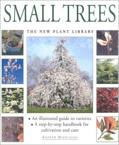 Beispielbild fr Small Trees zum Verkauf von Better World Books