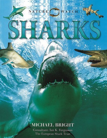 Beispielbild fr Sharks (Nature Watch S.) zum Verkauf von WorldofBooks