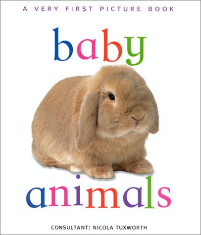 9780754809388: Baby Animals (Very First Picture Board)
