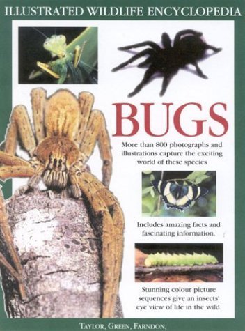 Imagen de archivo de The Big Bug Book: Discover the Amazing World of Beetles, Bugs, Butterflies, Moths, Insects and Spiders a la venta por ThriftBooks-Atlanta