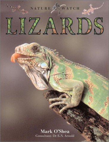 Stock image for Lizards: Nature Watch for sale by Alf Books