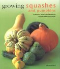 Stock image for Growing Squashes and Pumpkins   a directory of varieties of how to successfully cultivate them for sale by Syber's Books