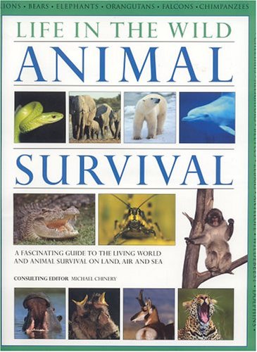 Imagen de archivo de Life in the Wild : Animal Survival a la venta por Better World Books