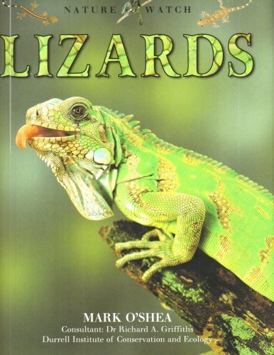 Stock image for Nature Watch - Lizards for sale by BookHolders