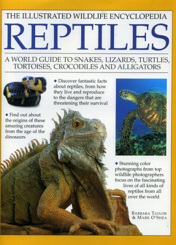Imagen de archivo de Illustrated Wildlife Encyclopedia: Reptiles a la venta por dsmbooks