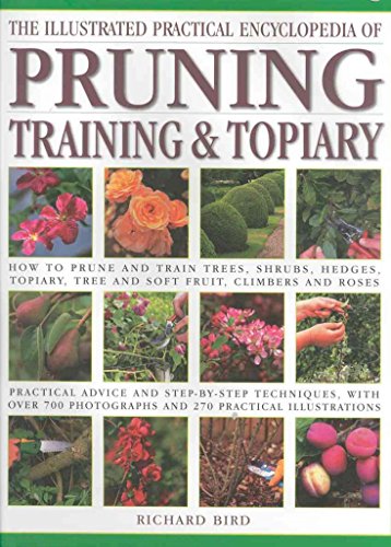 Stock image for Illustrated Practical Encyclopedia of Pruning, Training and Topiary: How to Prune and Train Trees, Shrubs, Hedges, Topiary, Tree and Soft Fruit, . photographs and 100 Practical Illustrations for sale by Books of the Smoky Mountains