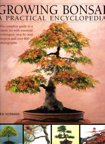 Stock image for Growing Bonsai: A Practical Encyclopedia for sale by Brit Books