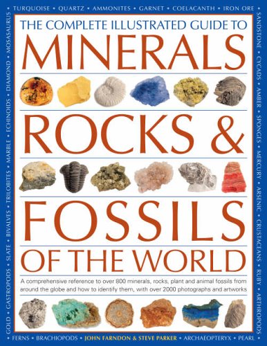 9780754816089: Minerals, Rocks and Fossils of the World