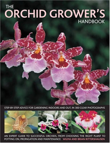 9780754818243: The Orchid Grower's Handbook: Step-by-step Advice for Gardening Indoors and Out, in 300 Clear Photographs
