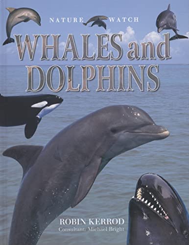 9780754818755: Nature Watch: Whales & Dolphins (Nature Watch (Lorenz))