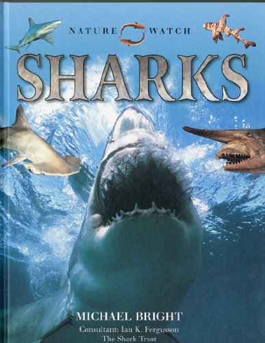 9780754819400: Nature Watch: Sharks