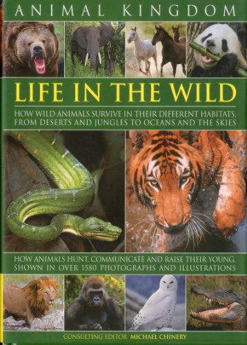 Stock image for Animal Kingdom : Life in the Wild for sale by Better World Books