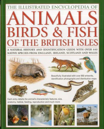 Stock image for The Illustrated Encyclopaedia of Animals, Birds and Fish of British Isles: A Natural History and Identification Guide to the Indigenous Wildlife of . from England, Ireland, Scotland and Wales for sale by Reuseabook