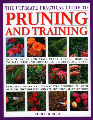 Beispielbild fr The Ultimate Practical Guide to Pruning and Training: How to Prune and Train Trees, Shrubs, Hedges, Topiary, Tree and Soft Fruit, Climbers and Roses zum Verkauf von WorldofBooks
