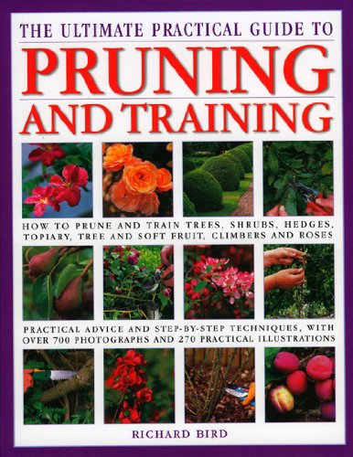 Stock image for The Ultimate Practical Guide to Pruning and Training: How to Prune and Train Trees, Shrubs, Hedges, Topiary, Tree and Soft Fruit, Climbers and Roses for sale by Books of the Smoky Mountains