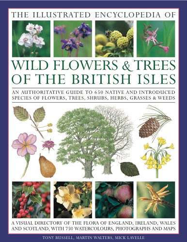 The Illustrated Encyclopedia of Wild Flowers & Trees of the British Isles: An Authoritative Guide to 650 Native and Introduced Species of Flowers, Trees, Shrubs, Herbs, Grasses & Weeds (9780754820680) by Walters, Martin