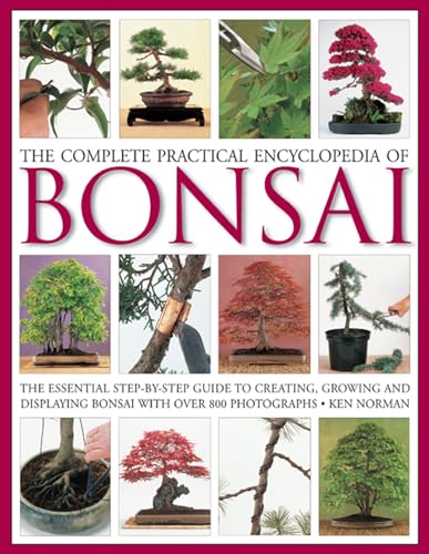 Beispielbild fr The Complete Practical Encyclopedia of Bonsai: The Essential Step-by-Step Guide to Creating, Growing, and Displaying Bonsai with Over 800 Photographs zum Verkauf von Goodwill Books