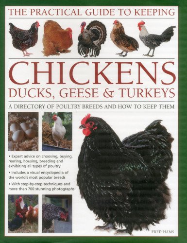 Beispielbild fr The Practical Guide to Keeping Chickens, Ducks, Geese & Turkeys : A Directory of Poultry Breeds and How to Keep Them zum Verkauf von Better World Books