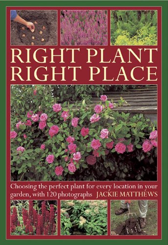 Beispielbild fr Right Plant Right Place : Choosing the Perfect Plant for Every Location in Your Garden, with 120 Photographs zum Verkauf von Better World Books