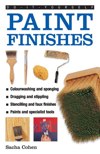 Imagen de archivo de Do-it-yourself Paint Finishes: A Guide to Achieving Creative and Decorative Paint Effects Throughout Your Home (Do-It-Yourself (Lorenz Books)) a la venta por WorldofBooks