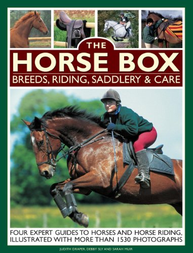 Stock image for The Horse Box: Breeds, Riding, Saddlery & Care: Four Expert Guides To Horses And Horse Riding, Illustrated With More Than 1530 Photographs for sale by HPB-Red