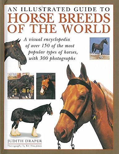 Imagen de archivo de An Illustrated Guide to Horse Breeds of the World a la venta por AwesomeBooks