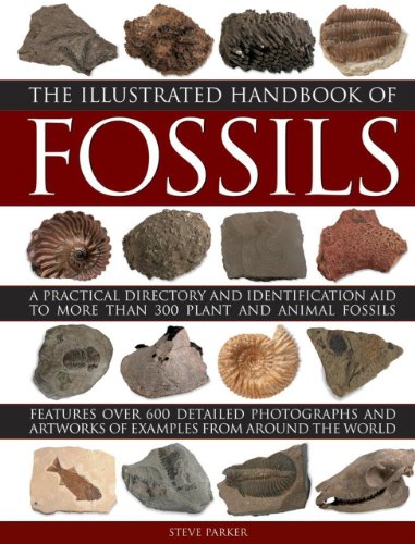 9780754829591: The Illustrated Handbook of Fossils: A Practical Directory and Identification Aid to More Than 300 Plant and Animal Fossils