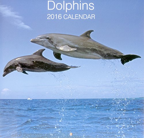 9780754831068: 2016 Calendar: Dolphins