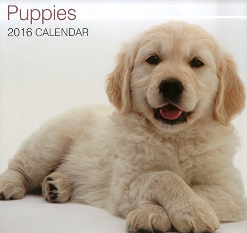 9780754831242: Puppies 2016 (Calendars 2016)