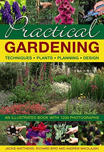Imagen de archivo de Practical Gardening : Techniques, Plants, Planning, Design a la venta por Better World Books