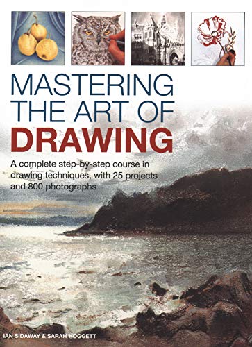 Imagen de archivo de Mastering the Art of Drawing a la venta por Blackwell's