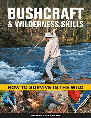 Stock image for Bushcraft Wilderness Skills: How to Survive in the Wild for sale by Michael Lyons