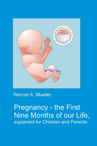 Stock image for Pregnancy: The First Nine Months of Our Life Explained for Children and Parents for sale by medimops