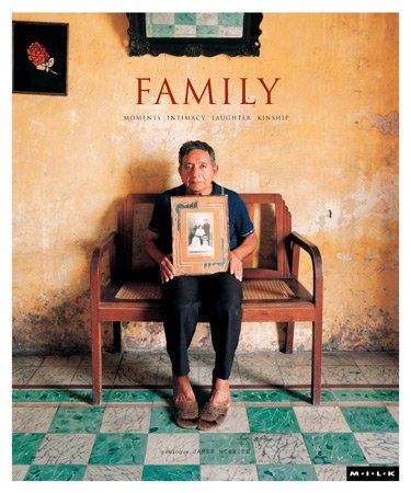 Stock image for M.I.L.K.: Family v. 1: Moments of Intimacy Laughter Kinship (Milk 1) for sale by AwesomeBooks