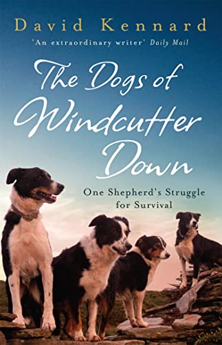 Stock image for The Dogs of Windcutter Down for sale by Gulf Coast Books