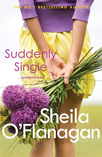 Suddenly Single (9780755329953) by O'Flanagan, Sheila