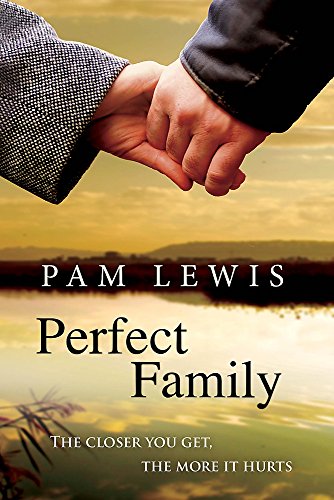 Imagen de archivo de Perfect Family a la venta por WorldofBooks