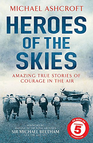 Stock image for Heroes of the Skies for sale by WorldofBooks