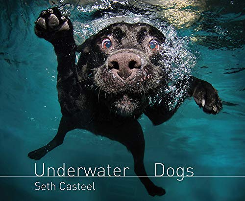 Beispielbild fr Underwater Dogs zum Verkauf von Red's Corner LLC