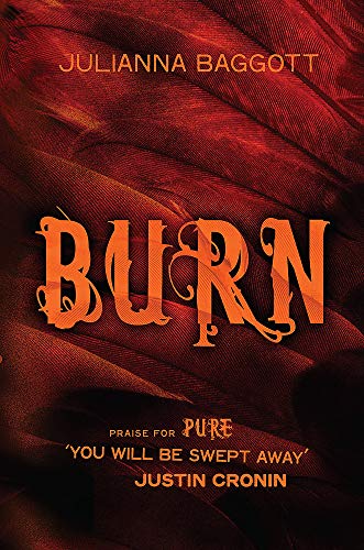 Stock image for Burn for sale by WorldofBooks