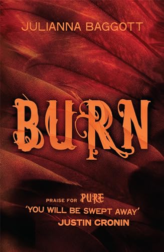 Beispielbild fr Burn zum Verkauf von Better World Books