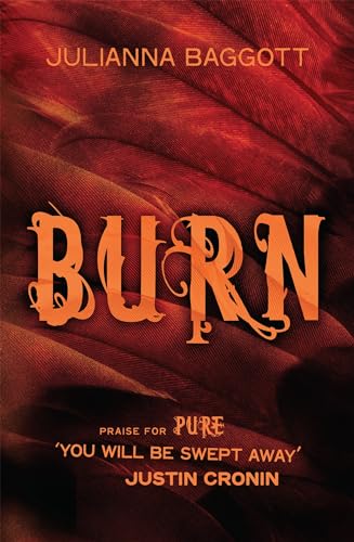 Stock image for Burn for sale by Better World Books