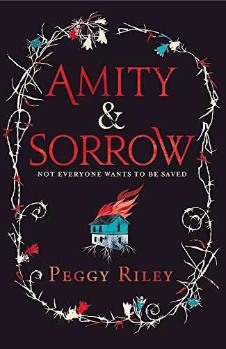 Beispielbild fr Amity & Sorrow zum Verkauf von AwesomeBooks