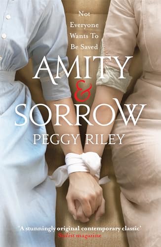 Beispielbild fr Amity & Sorrow zum Verkauf von WorldofBooks
