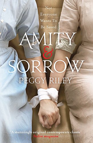 Stock image for Amity & Sorrow for sale by WorldofBooks