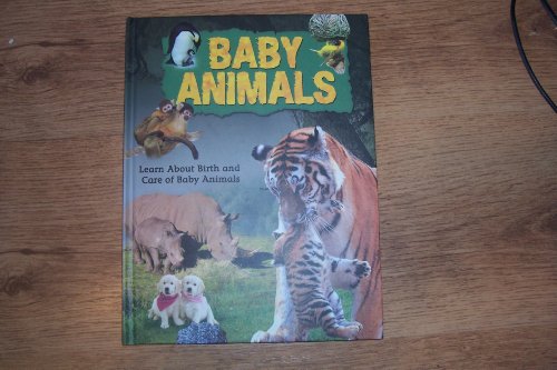 Imagen de archivo de Baby Animals a la venta por AwesomeBooks