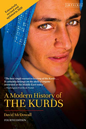 9780755600793: A Modern History of the Kurds